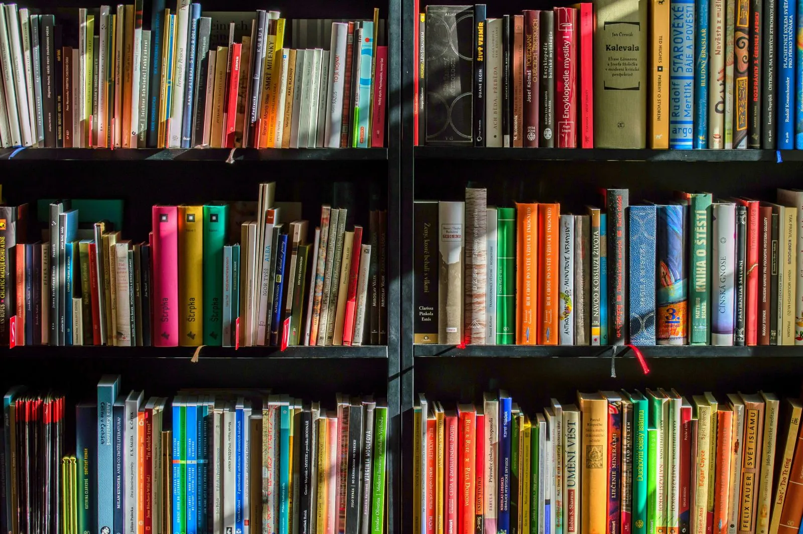 Computer en Internet Boek te koop