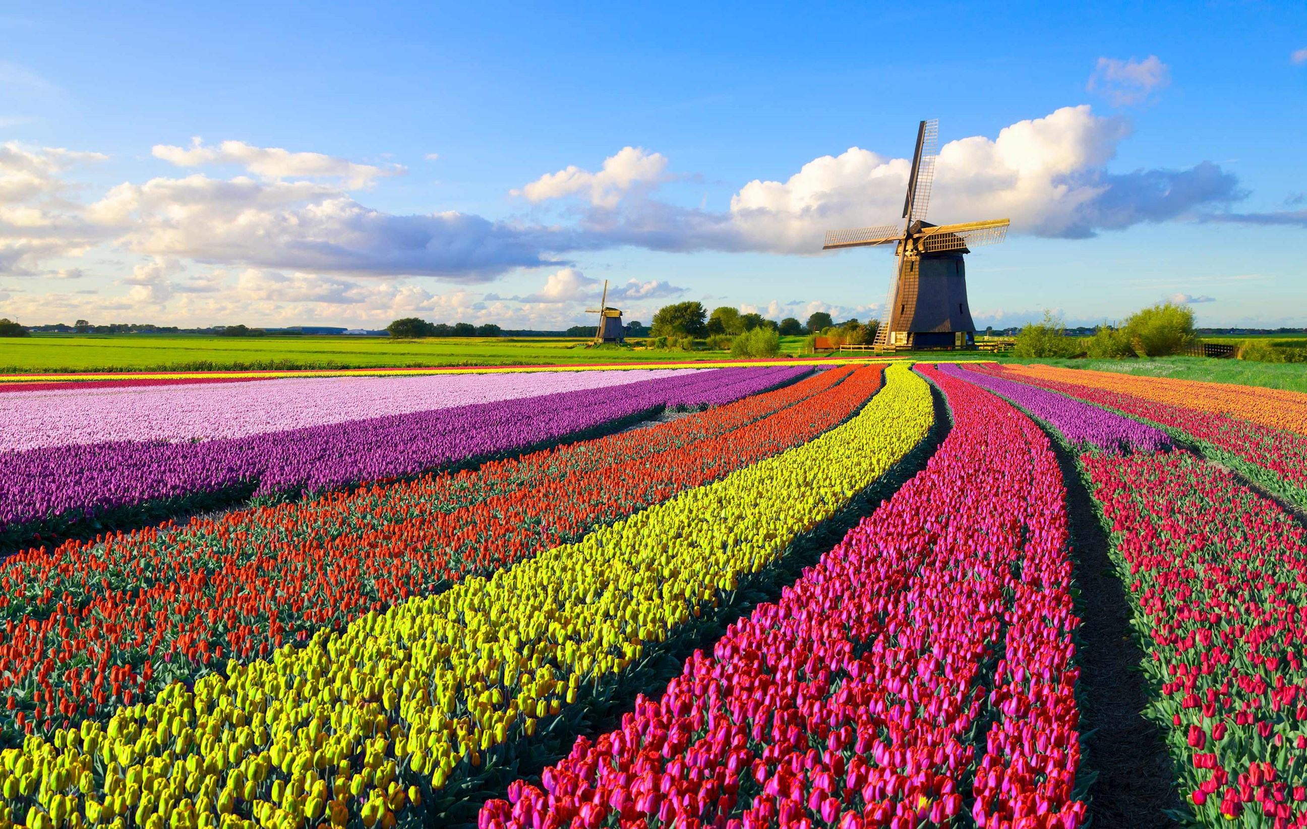 Start je eigen online marktplaats met het Evesi Marktplaats Script